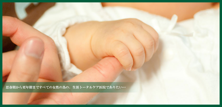 index.html
